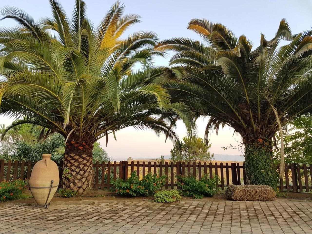 Agriturismo Il Drago Mirabella Imbaccari Kültér fotó